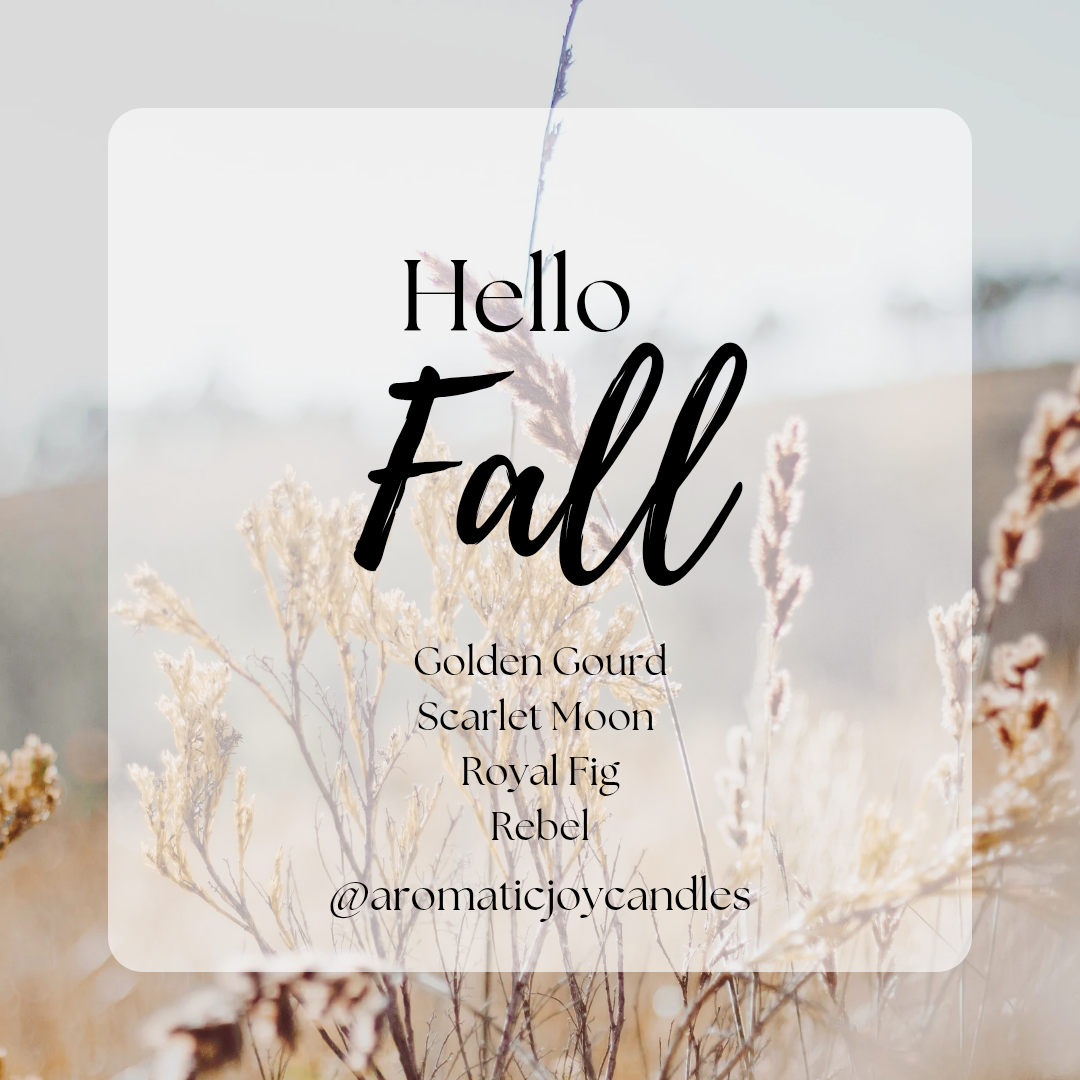 Fall Collection 2025